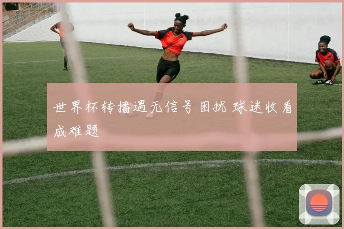 世界杯转播遇无信号困扰 球迷收看成难题