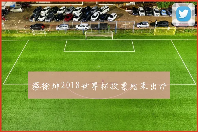 蔡徐坤2018世界杯投票结果出炉