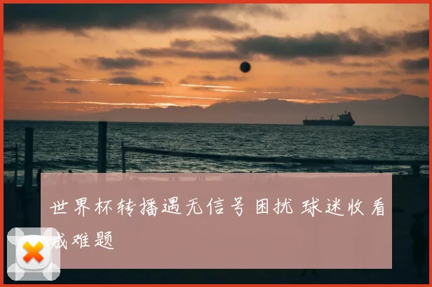 世界杯转播遇无信号困扰 球迷收看成难题