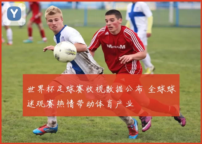 世界杯足球赛收视数据公布 全球球迷观赛热情带动体育产业